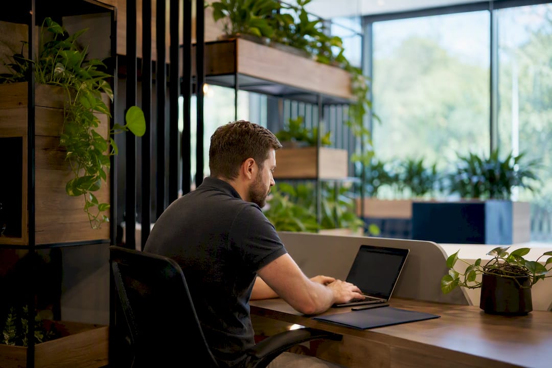 Office interior with biophilic natural design elements