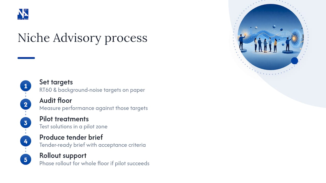 How Niche Advisory can help — overview diagram